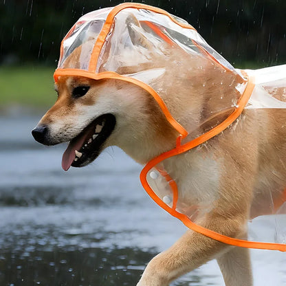 S/Xl Pet Raincoat Transparent Dog Raincoat Waterproof and Windproof Pet Clothing Large Dog Pet Dog Dog Costume