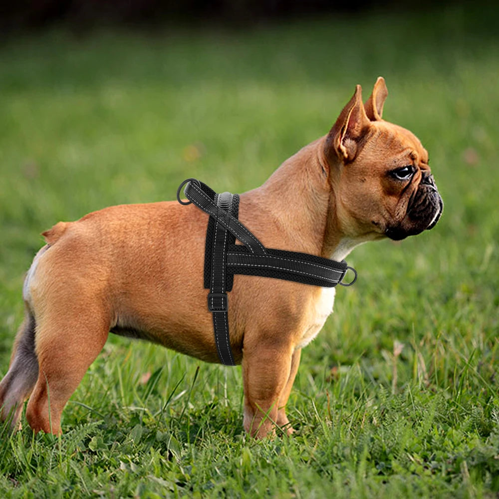 Warm Dog Harness Vest Winter Dog Harnesses Soft Padded Pet Training Harnesses Vests Adjustable For Small Large Dogs Bulldog Pug
