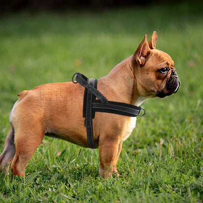 Warm Dog Harness Vest Winter Dog Harnesses Soft Padded Pet Training Harnesses Vests Adjustable For Small Large Dogs Bulldog Pug