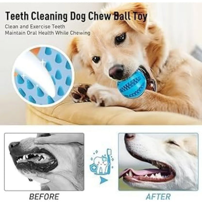 Dog Hollow Ball Toy Rubber Chew Toys for Dogs Cleaning Teeth Molar Bite Resistant Toy with Bell Puppy Training Game