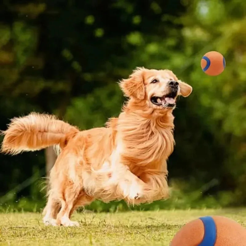 Dog Toy Ball Dog Fetch Ball Toy Tough Pet Ball Puppy Chew Toy Solid Elastic Jumping Ball Pet Accessories For Large Medium Small