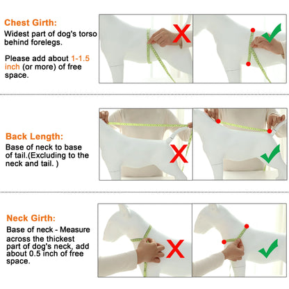 Warm Chihuahua Dog Cat Clothes Winter Fur Collar Small Dogs Puppy Coat Thick Cotton Pet Jacket Outfits Clothes for Small Dog Pug