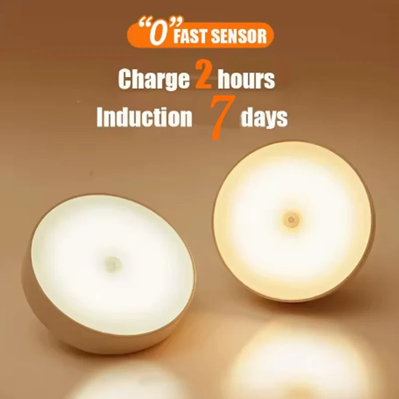 LED Night Light USB Charging Intelligent Human Induction For Bedside Cabinet Home Wardrobe Motion Sensor Light Led Lamp