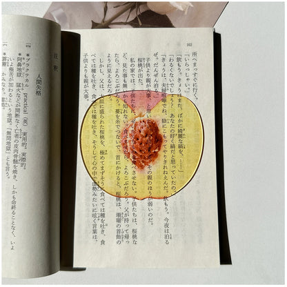 Delicate Transparent Acrylic Apple Bookmark Reading Mark Student Gift Premium Feeling Cute Grape Tomato Bookmarks