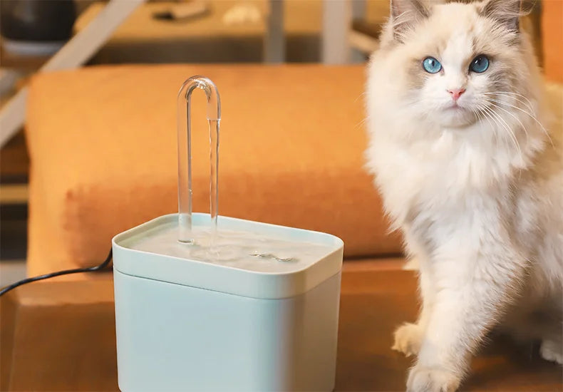 Ultra-Quiet Pet Water Fountain Auto Filter Electric Cat Dog Water Dispenser&Burnout Prevention Pump 1.5L Recirculate Filtrin