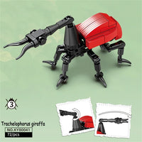 Trachelophorus graff