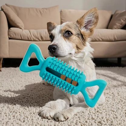 Dog Hollow Ball Toy Rubber Chew Toys for Dogs Cleaning Teeth Molar Bite Resistant Toy with Bell Puppy Training Game