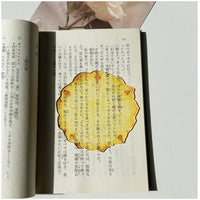 Pineapple bookmark