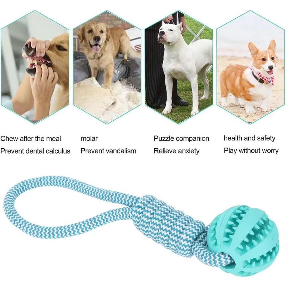 Dog Hollow Ball Toy Rubber Chew Toys for Dogs Cleaning Teeth Molar Bite Resistant Toy with Bell Puppy Training Game
