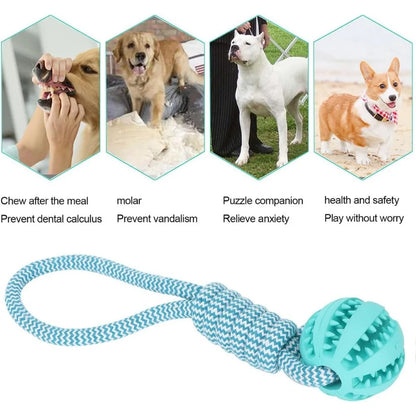 Dog Hollow Ball Toy Rubber Chew Toys for Dogs Cleaning Teeth Molar Bite Resistant Toy with Bell Puppy Training Game
