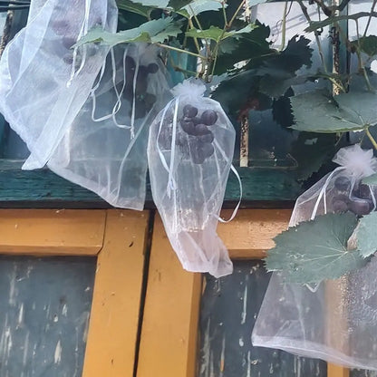 100pcs Grapes Fruit Grow Bags Netting Mesh Strawberry Vegetable Plant Protection Bags For Pest Control Anti-Bird Garden Tools