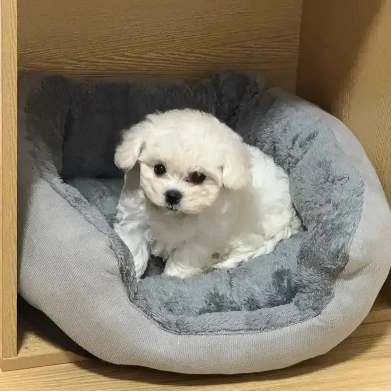 Soft Warm Dog Bed Pets Basket Cat House Sofa for Medium Large Dog Sofa Bed Cushion Dog Bed House Pet Supplies Accessories