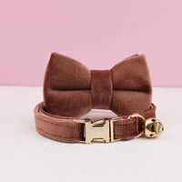 bow tie collar 1