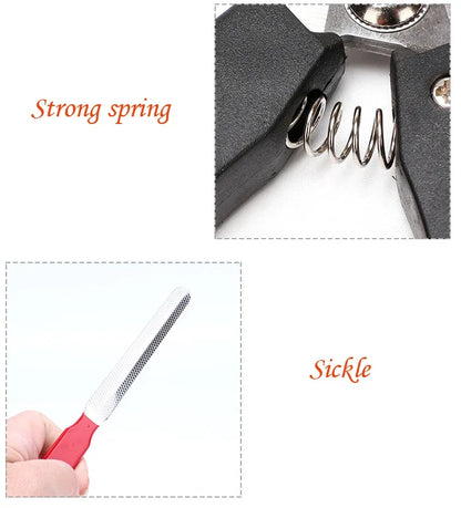 Pet Nail Clippers with Sickle Large Dog Nail Clippers Nail Clippers Multifunctional Teddy Cat Stainless Steel Grooming Scissors