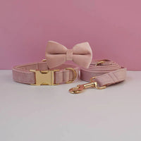 Bow Collar Leash36