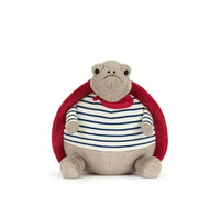 Timmy turtle