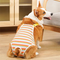 Orange Stripe