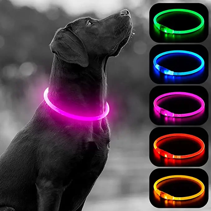 USB Charging Necklace Led Luminous Dog Collar Light , Flashing DIY Glowing Safety Anti Lost Cat Dogs Collar Accessories Supplies