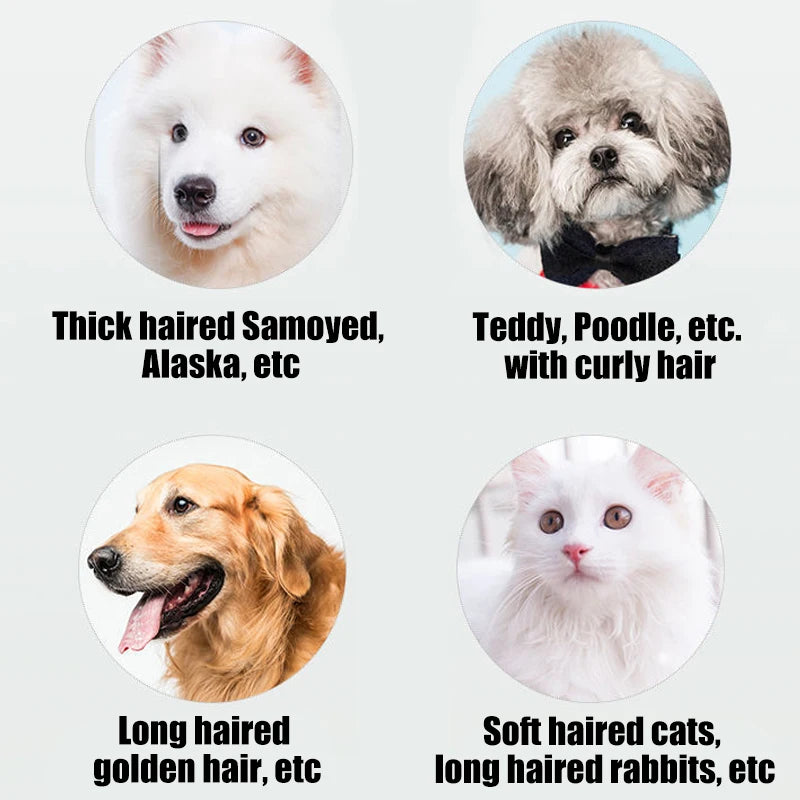 1PC Dog Clipper Pet/Cat/Rabbit Hair Clippers Grooming Haircut Professional Trimmer Shaver Set Pets Cordless Rechargeable