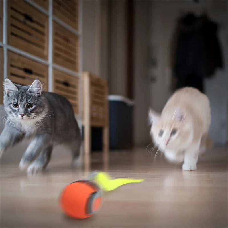 Smart Cat Toys Ball Automatic Interactive Pets Electric Rolling Teaser USB Rechargeable Kitty Moving Bouncing Ball Birthday Gift