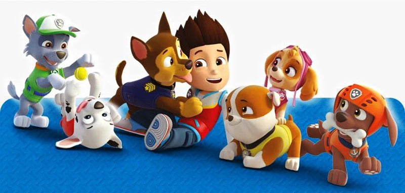 4PCS/SET Genuine Paw Patrol Vehicle Chase Skye Marshall Rubble Pull Back Cars Playset Action Figure Children Toys Birthday Gifts