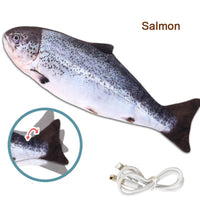 Salmon