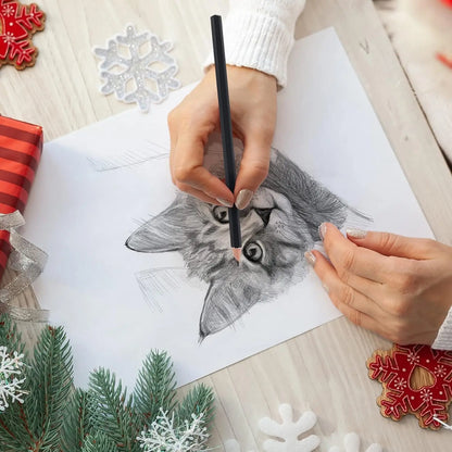 29Pcs Drawing Kit Sketching Pencils Set,Portable Pen Curtain-Charcoal Pencils, Sketch Pencils, Charcoal Stick,Sharpener,Eraser