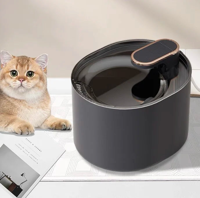 Cat Dog water dispenser cats drink water not wet mouth automatic circulation filter flow plug-in pet supplies