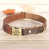 Brown Collar