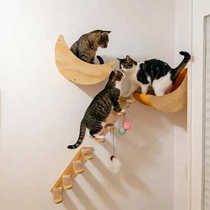 Cat Wall Hiding House Hammock Climbing Shelves Moon Perches Bed Ladder Solid Wood Steps For Activity Indoor Cats Wall Furniture