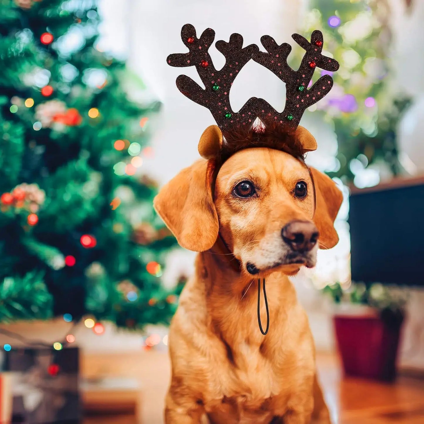 Christmas Decoration Pet Headwear Party Dress Up Antlers Hair Hoops Pet Supplies Christmas Hat Headbands Dog Elk Hair Hoops