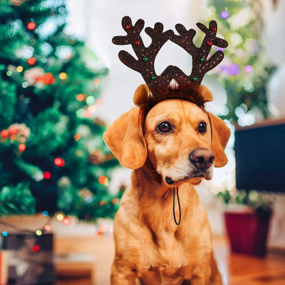 Christmas Decoration Pet Headwear Party Dress Up Antlers Hair Hoops Pet Supplies Christmas Hat Headbands Dog Elk Hair Hoops