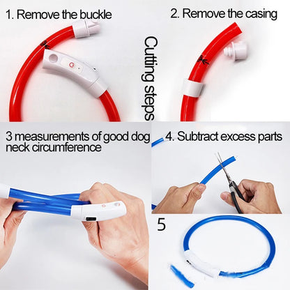 New Dog Luminous Collar Bright Dog Collar Glowing Led Light Dog Collar Light Night Safety GXQ02