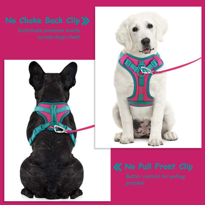 Splicing Colors Breathable For Medium No Pull Dog Harness for large Small dogs Adjustable Chest Strap Dog Harness Personalized