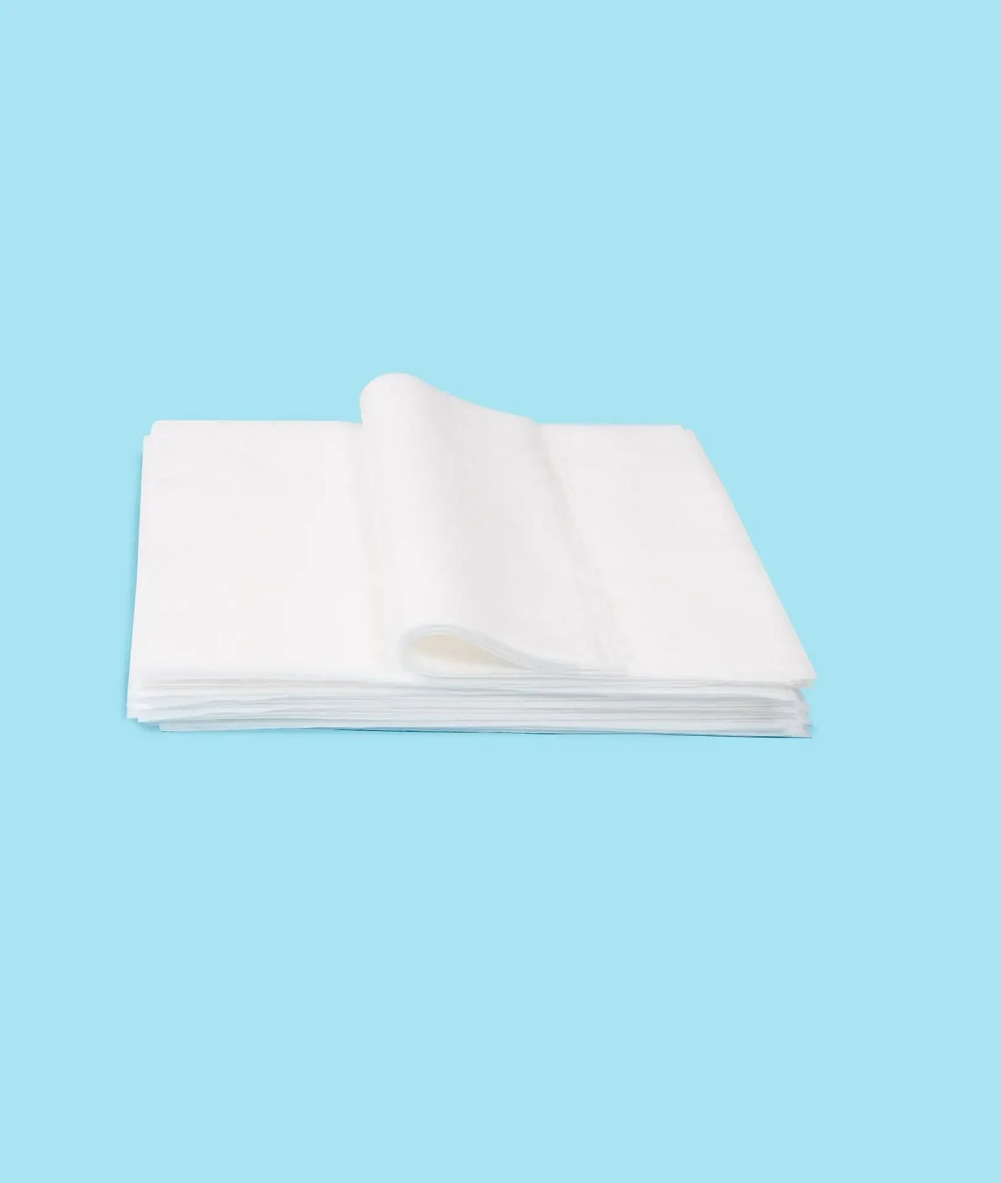 Pet Urine Absorbent Paper Strong Suction Urine Pad Disposable Cat and Dog Specific Convenient Pet Urine Absorbent Wiping Paper