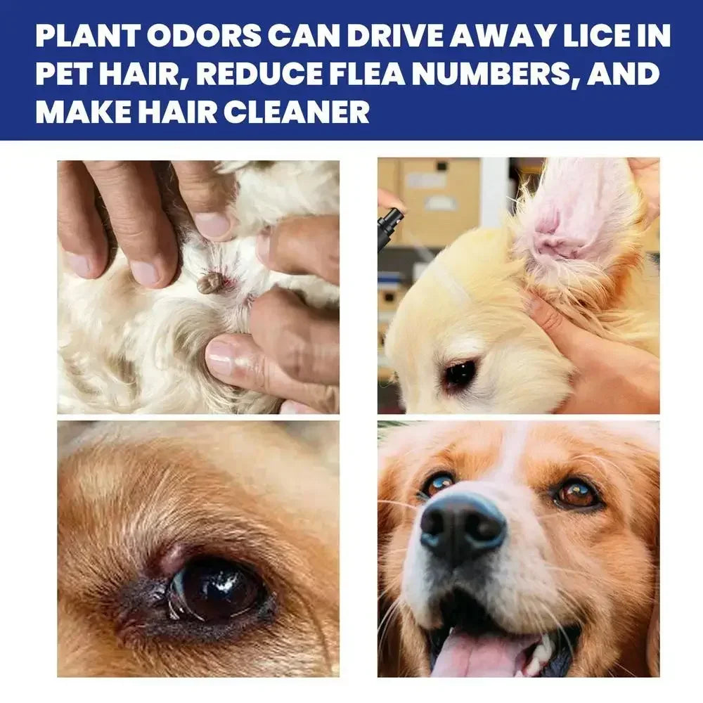 Pet Dog Cat Anti Flea Drops 100ml Insectcide Flea Lice Insect Remover Spray Flea And Tick Concentrate Formula Pet Flea Remover