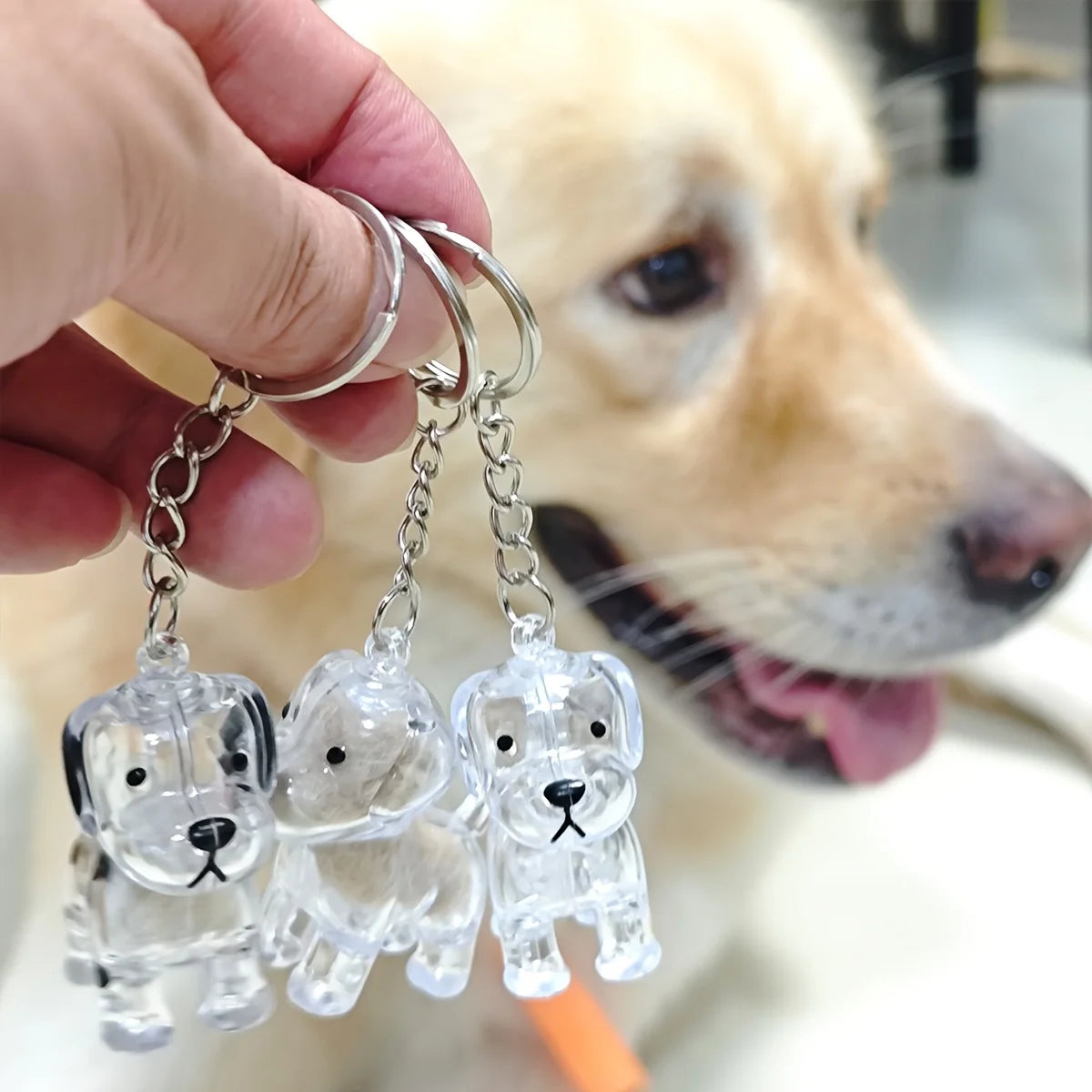 Transparent Dog Hair Storage Container Adorable Pet Keepsake Capsule Pendant With Key Ring for Pet Lovers DIY Memorial Keychain