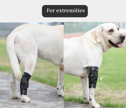 Updated Protects Bandage Dog Arthritis Protector Cover Dog Leg Support Dogs Hock Joint Brace Pet Knee Pads Dogs Injury Recovery