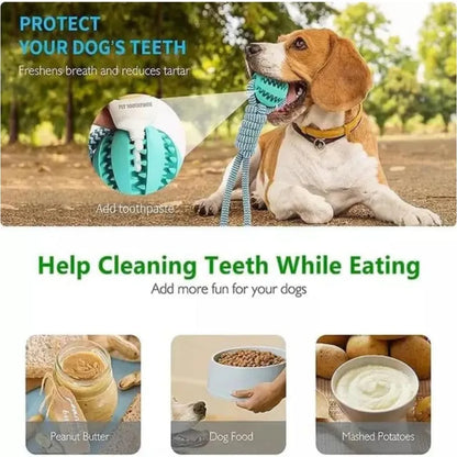 Dog Hollow Ball Toy Rubber Chew Toys for Dogs Cleaning Teeth Molar Bite Resistant Toy with Bell Puppy Training Game