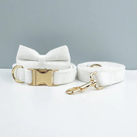 Bow Collar Leash38