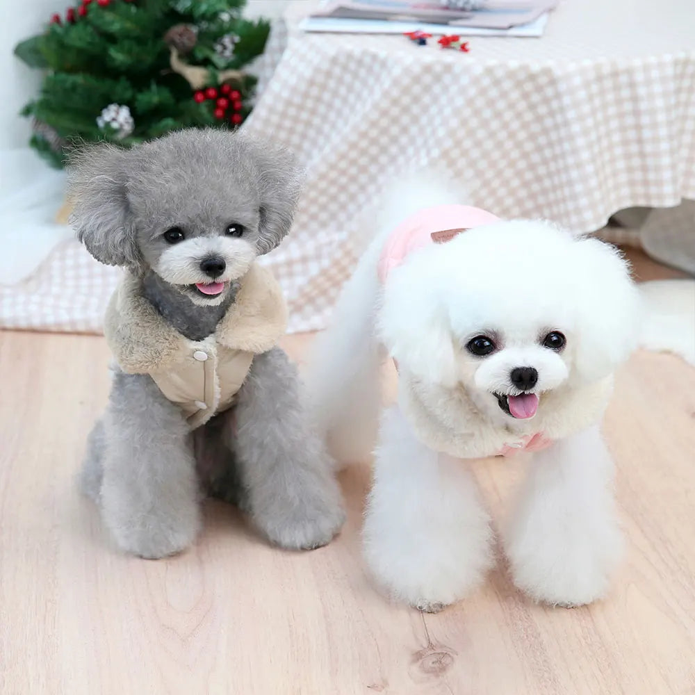 Warm Chihuahua Dog Cat Clothes Winter Fur Collar Small Dogs Puppy Coat Thick Cotton Pet Jacket Outfits Clothes for Small Dog Pug