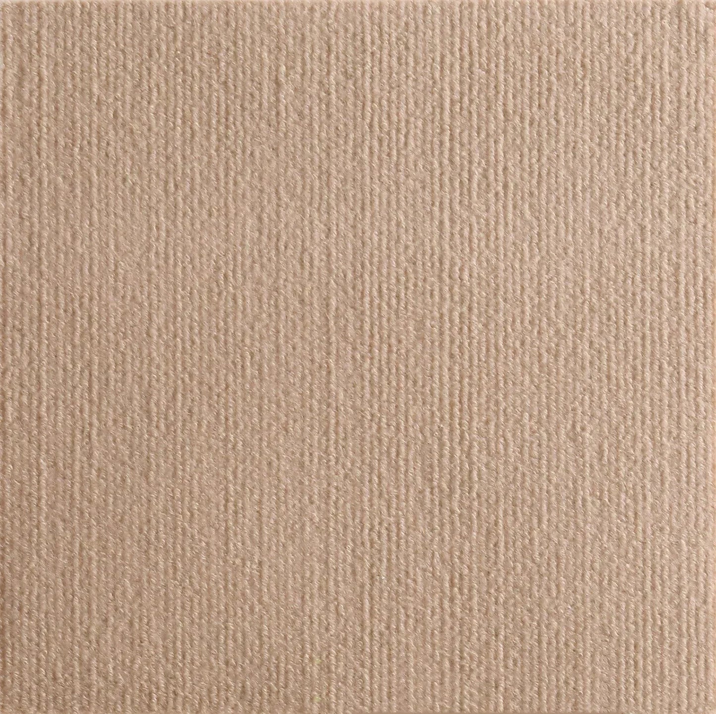 Trimmable Cat Scratching Mat Self-Adhesive Carpet Mat Pad Anti Cat Scratcher Furniture Couch Corner Indoor Sofa Wall Protector