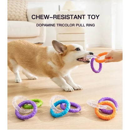 Dog Hollow Ball Toy Rubber Chew Toys for Dogs Cleaning Teeth Molar Bite Resistant Toy with Bell Puppy Training Game