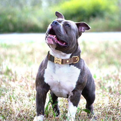 Customized Dog Collar Durable PU Leather Dog Collars Engraved Pet ID Necklace With Metal Buckle for Small Medium Large Dogs Pug