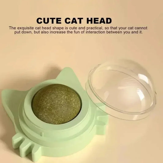 Lickable Catnip Balls Toy, Teeth Cleaning Chew Toy with Natural Catnip for Kittens & Cats, Sticks to Wall & Window