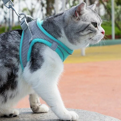 Soft mesh dog chest strap, suitable for training walks, adjustable dog vest, suitable for small and medium-sized dogs and cats
