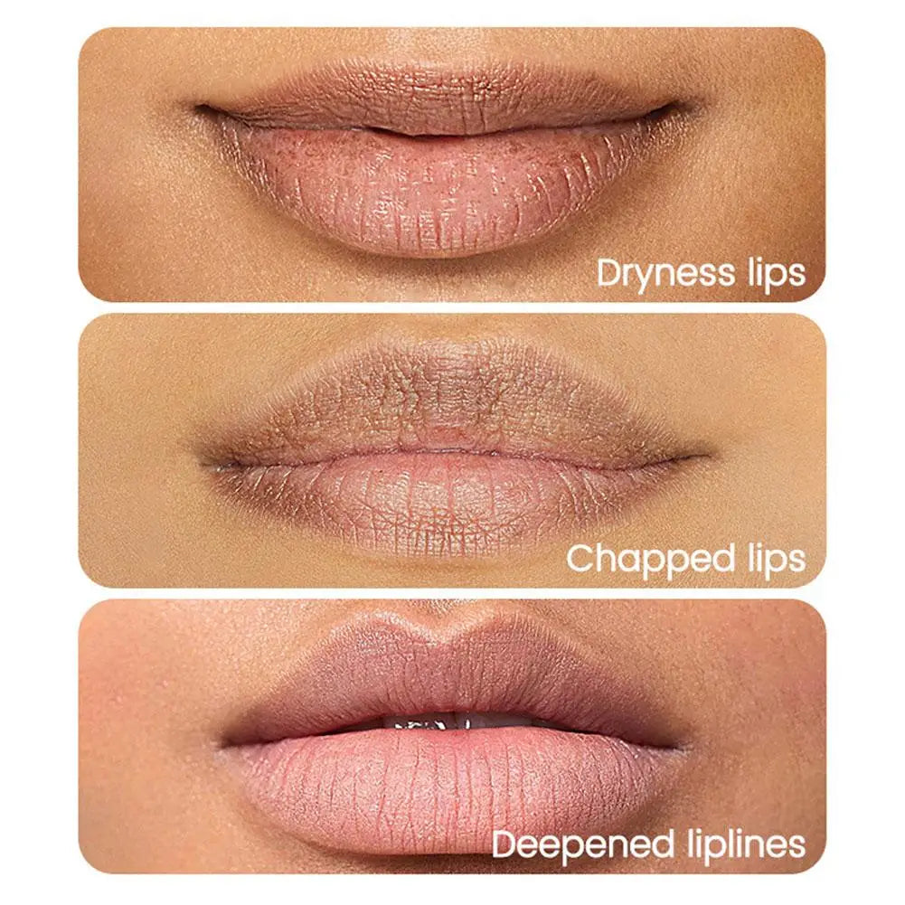 6/24pcs Assorted Fruit Flavor Lip Balm Set - Hydrating, Nourishing & Prevents Chapped Lips - Care for Dry Lips & Fine Lines