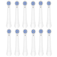 White-12pcs