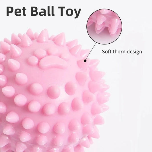 Pet Ball Toys Dog Chewing Toy Interactive Rubber Ball for Small Large Dog Cat Pet Tooth Cleaning Ball Pet Accessories