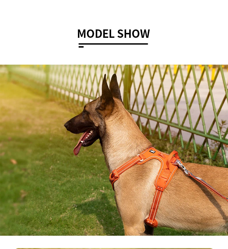 Truelove Pet harness Fashionable Nylon Durable Dog Harness Reflective Breathable Padded Training Vest Luxury Pet Accessories